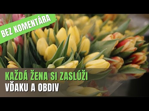 BEZ KOMENTÁRA: MDŽ na Mestskom úrade v Sobranciach