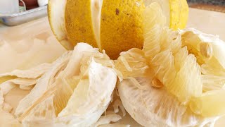 Vườn Bưởi Phúc Trạch/mô hình vườn ao chuồng