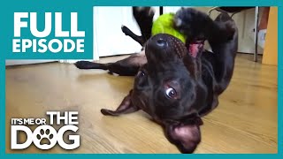 Thumbnail del capítulo