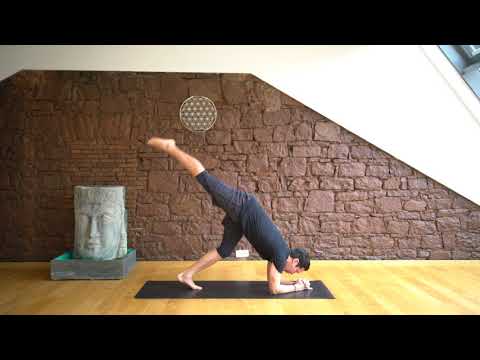 48 Ellenbogenstand B Der Yoga Coach by Stephan Suh