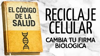 Recupera Tu Energia: Sana tu Cuerpo y tu Mente | AUDIOLIBRO