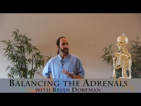 Support your Adrenals with a Gentler Yoga Practice with Brian Dorfman
