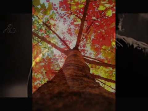 Pavol Habera - Love Song (Súmrak) (Video by Lukáš Čatay)