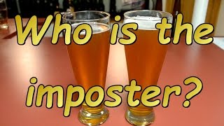 3 Floyds Zombie Dust vs My Zombie Dust Clone: A Comparison &amp; Blind Tasting