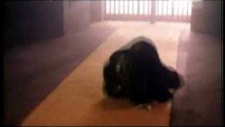 Download lagu XX Ray 2 - Hang Tuah & Ahli Sihir mp3 Download lagu XX Ray 2 - Hang Tuah & Ahli Sihir mp3