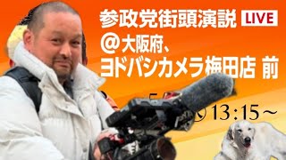 0505神谷カウンター#参政党#神谷宗平#政治#Vlog