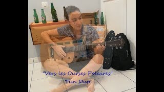 Vers les Ourses Polaires - Tim Dup - Clip video guitar cover