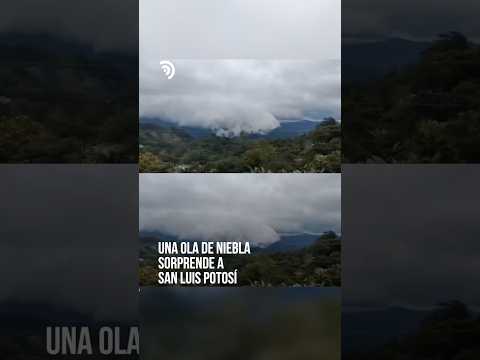 ¡Una ola de niebla sorprende a San Luis Potosí!🌫️❄️