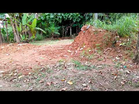 sonidos de pre lluvia