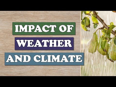 Impact of weather and climate on your garden
