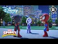 Spidey | Gered Door de Hik! | Disney Channel NL