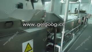finger chips cutting machine, finger chips frying machine price