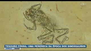 Miniatura do vídeo
