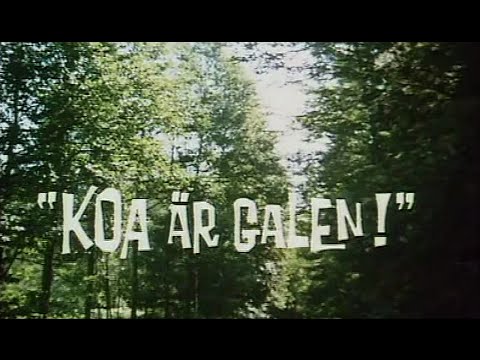 Emil van de Hazelhoeve - Aflevering 7 - De koe is gek\Koeien en Kiespijn\Terug van de veiling