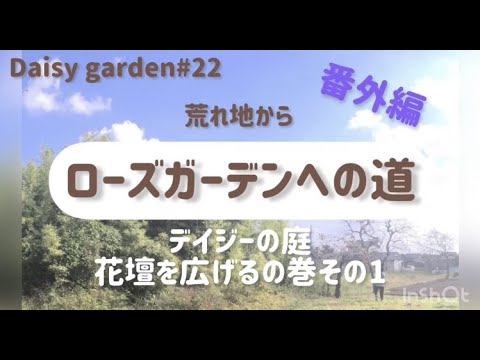 園芸 大きなデイジー