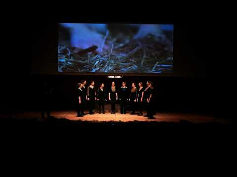 Harmonija disonance: O, sveta tri kralja