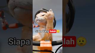 Download lagu Antara Kucing dan emak🤔  #seputarnguawur mp3