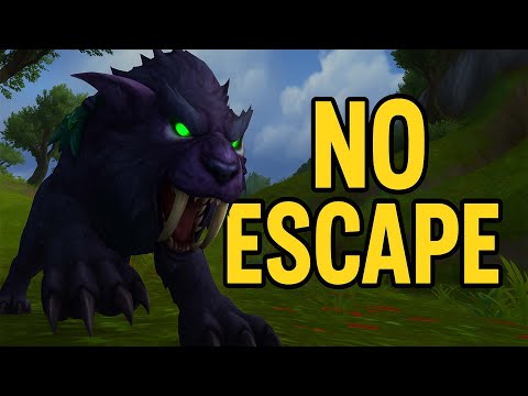 No Escape from this bleed dmg! - Feral druid pvp the war within 11.1.7