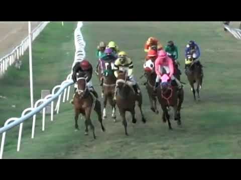 BTC RACE DAY 2 FEB 2019 - RACE 7