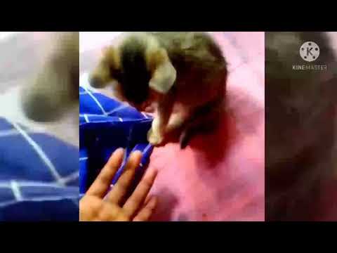 Sweetie, you are really different from everyone else😊😇,,,I love you sweety😊