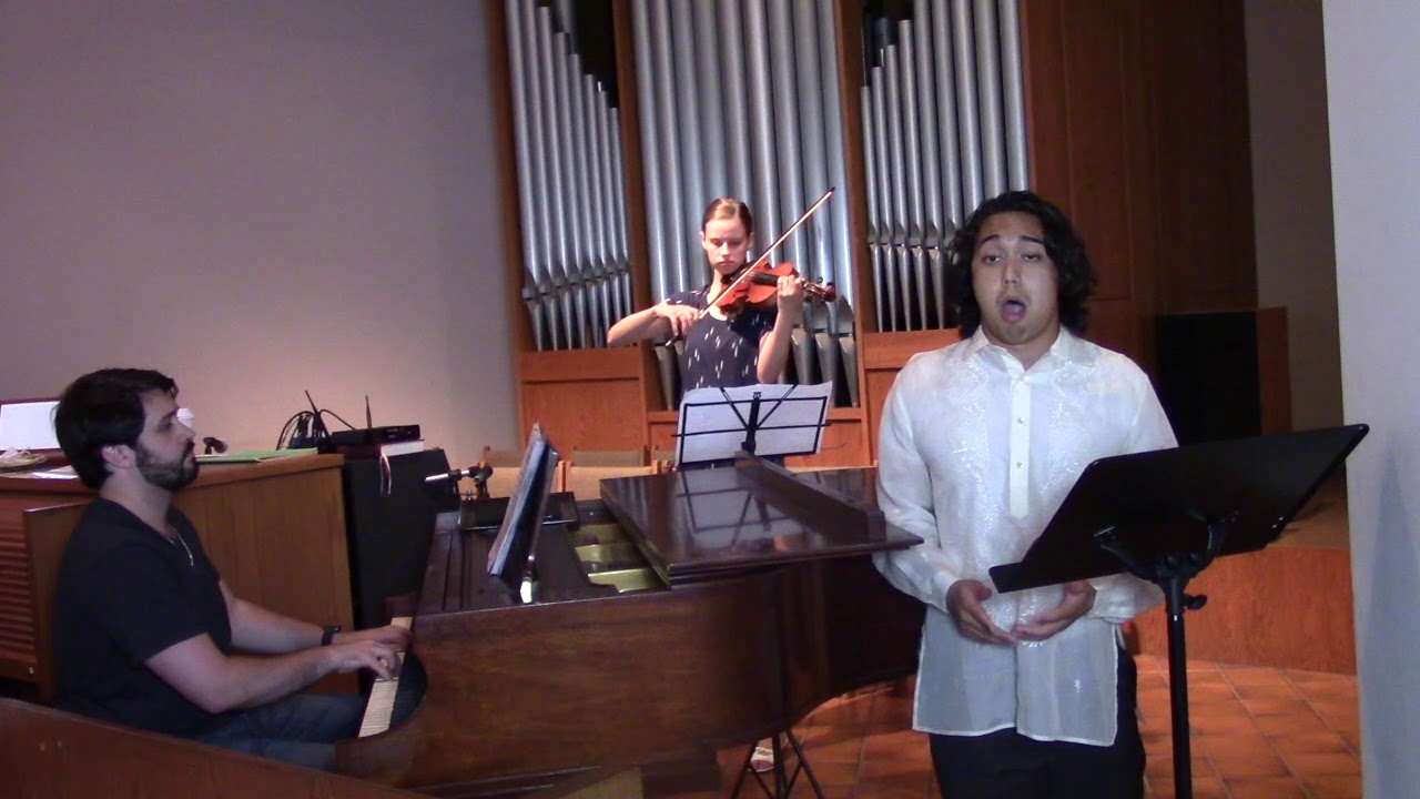 Hire Erika Chinander, Violin Violinist in Tallahassee, Florida