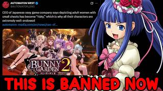 This is Banned in Anime and Games Permanently Now thumbnail