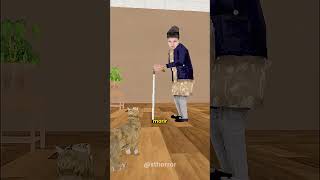 Este GATO sabia tu FINAL