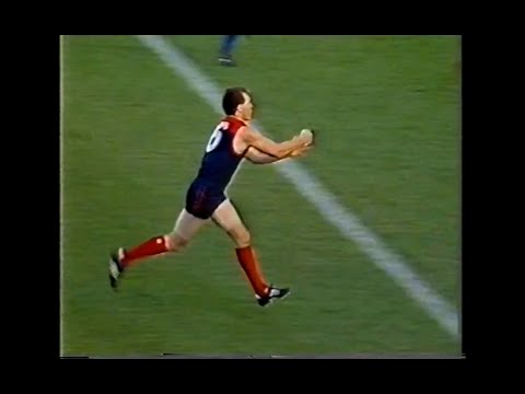 1991 - Melbourne v Footscray - Sports World - Round 8 - MCG - AFL
