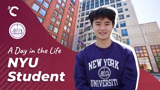 youtube video thumbnail - Why is NYU the Perfect University for International Students?