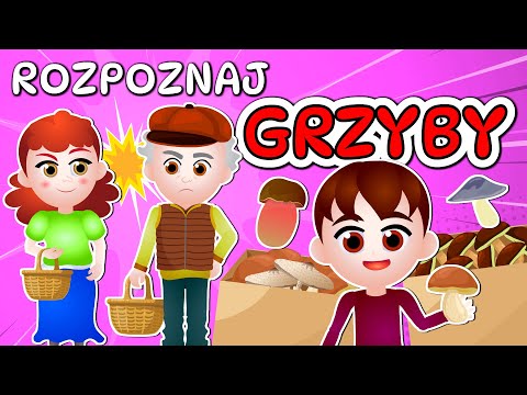 🍄‍🟫 Kazio i TEST GRZYBIARZA 3 - Grzybobranie dla dzieci - Rozpoznawanie grzybów 🍄‍🟫