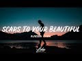 Alessia Cara - Scars To Your Beautiful (Lyrics)