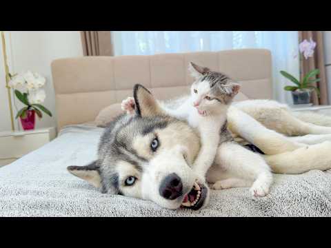 YouTube 썸네일