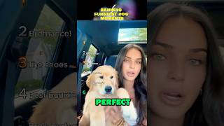 Ranking Funniest Dog Moments