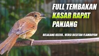 Download lagu FLAMBOYAN GACOR NEMBAK FULL NYERECET NGEBREN RAPAT KASAR PANJANG UNTUK MASTERAN & PANCINGAN mp3