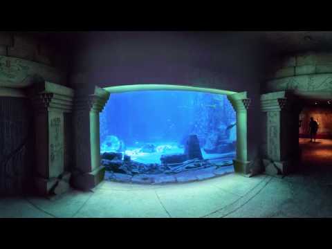 Explore the lost city of Atlantis in 360 degrees.