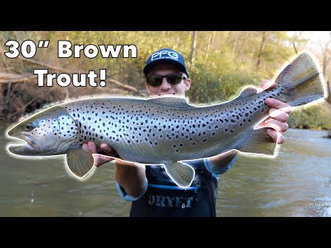 I CAUGHT THE FISH OF A LIFETIME!! (30 + Inch Brown Trout!)