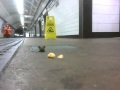 mice on the underground. Oxford circus 