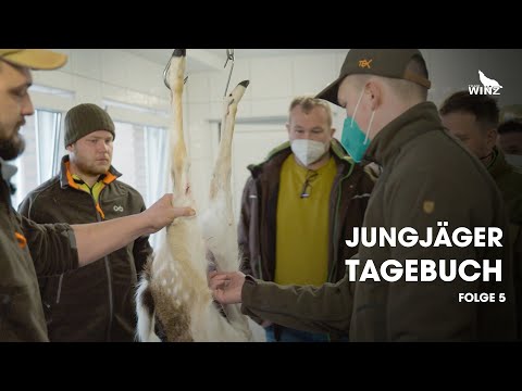 Wildkrankheiten und Wildbrethygiene | Jungjägertagebuch Folge 5 | Team Winz