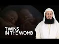 Twins in the Womb - Mufti Menk
