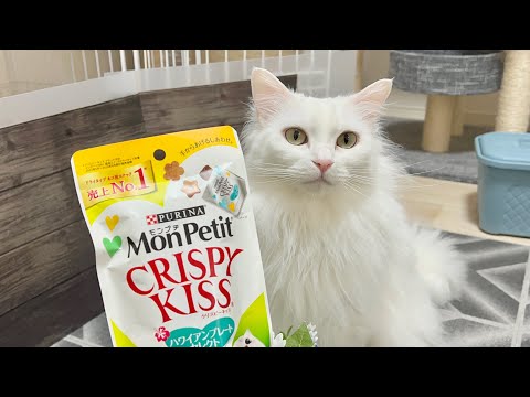 ネコのおやつを食べてみた#5【クリスピーキッス】