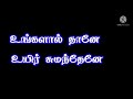 Pillai NilaIrandum Vellai Nila Tamil Lyrics Kinemaster Edit Video