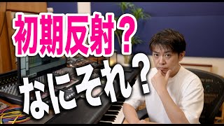 DTM初心者リバーブもやもやになりがち!(2)アーリーリフレクション(初期反射)を駆使しろ!わーだー専門学校じゃねぇよ〜作曲家のためのエンジニアリング〜【DTM DAW Reverb】