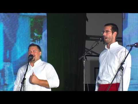 Klapa Stine (Zagreb) - Jesi lipa vilo moja