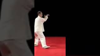 Tai Chi White Crane Spreads Its Wings demonstration thumbnail