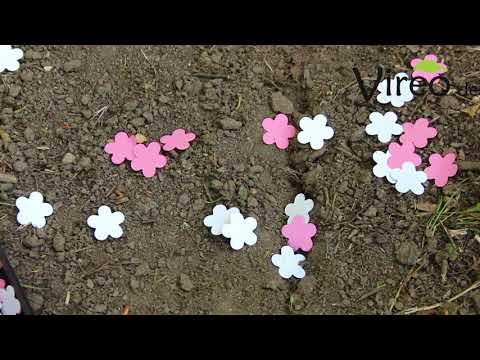 Plantable Confetti Niko Niko - Vireo.de