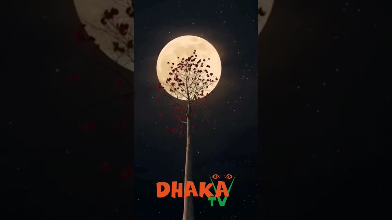 Moyna Pakhi | Tarek Kajol