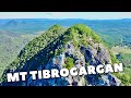 DO NOT CLIMB THIS WAY! | Mt Tibrogargan, Glass House Mountains, Australia | Bush Walk Review #003