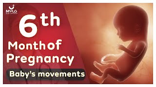 6th Month Of Pregnancy Baby Movements | 6th Month Of Pregnancy Baby Growth | Mylo Family