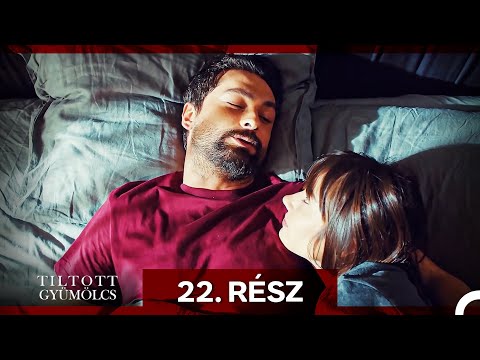 Tiltott Gyümölcs 22. Rész (Magyar Szinkron)