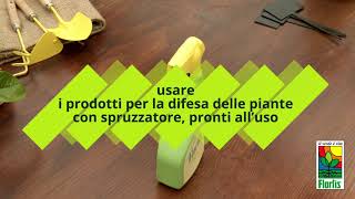 Flortis Olio di Neem Liquido Pronto all'Uso per Piante Sane - 500 ml
